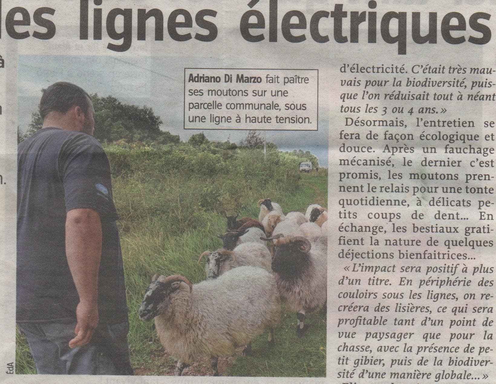Adriano Di Marzo dans la presse